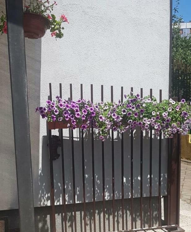 Sun Garden Sarajevo Aparthotel ภายนอก รูปภาพ